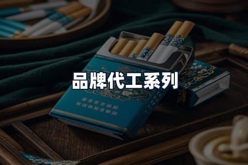 品牌代工系列